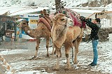 20130305_0884 1